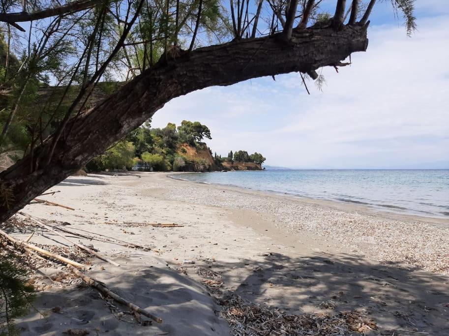 Traditional House At Koroni Near Beach Villa Exterior photo